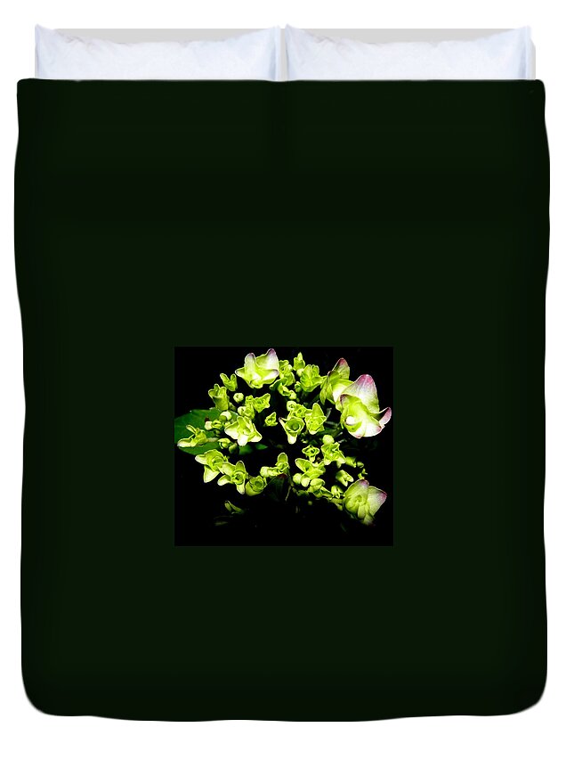 Hydrangea Duvet Cover featuring the photograph Bursting With Beauty by Kim Galluzzo Wozniak