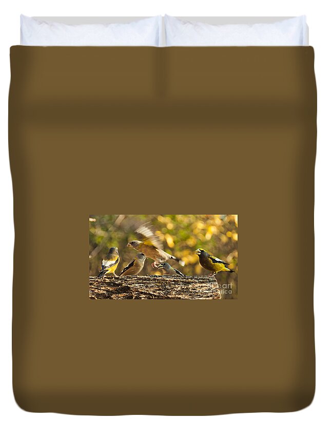 Grosbeak Duvet Cover featuring the photograph Busy Birds by Cheryl Baxter