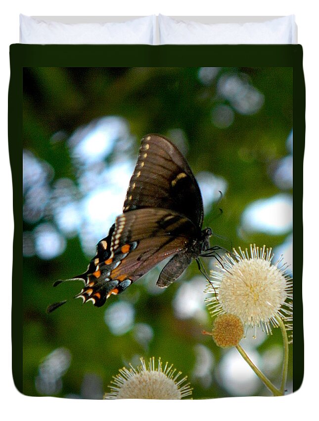 Insect Duvet Cover featuring the photograph Butterfly III by Ester McGuire
