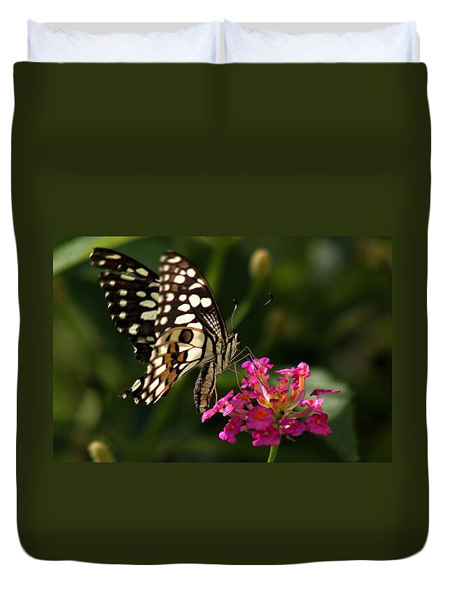 Butterfly Duvet Cover featuring the photograph Butterfly by Ramabhadran Thirupattur