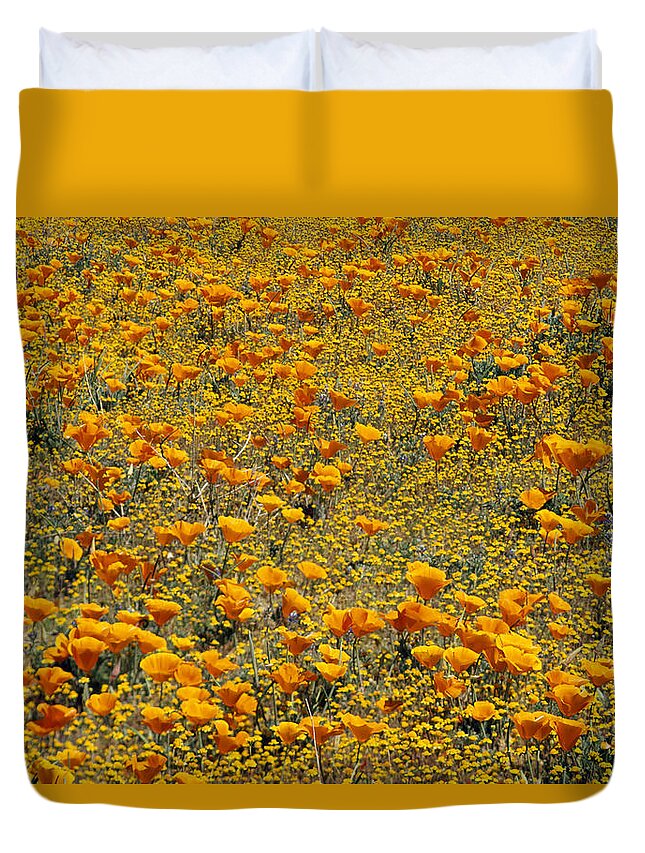 00170969 Duvet Cover featuring the photograph California Poppy And Golden Yarrow by Tim Fitzharris
