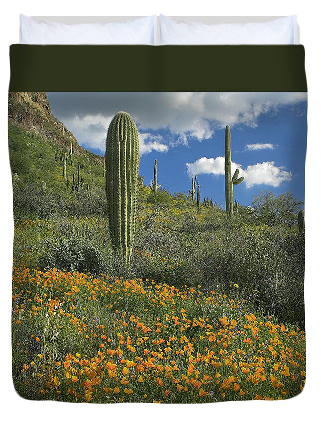 00176647 Duvet Cover featuring the photograph California Poppy And Saguaro by Tim Fitzharris