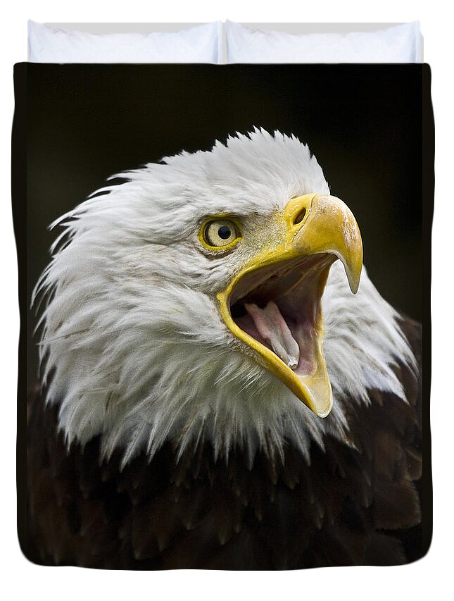 Eagle Duvet Cover featuring the photograph Calling Bald Eagle - 4 by Heiko Koehrer-Wagner