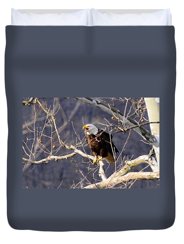 Calling Eagle Duvet Cover featuring the photograph Calling for his mate by Randall Branham