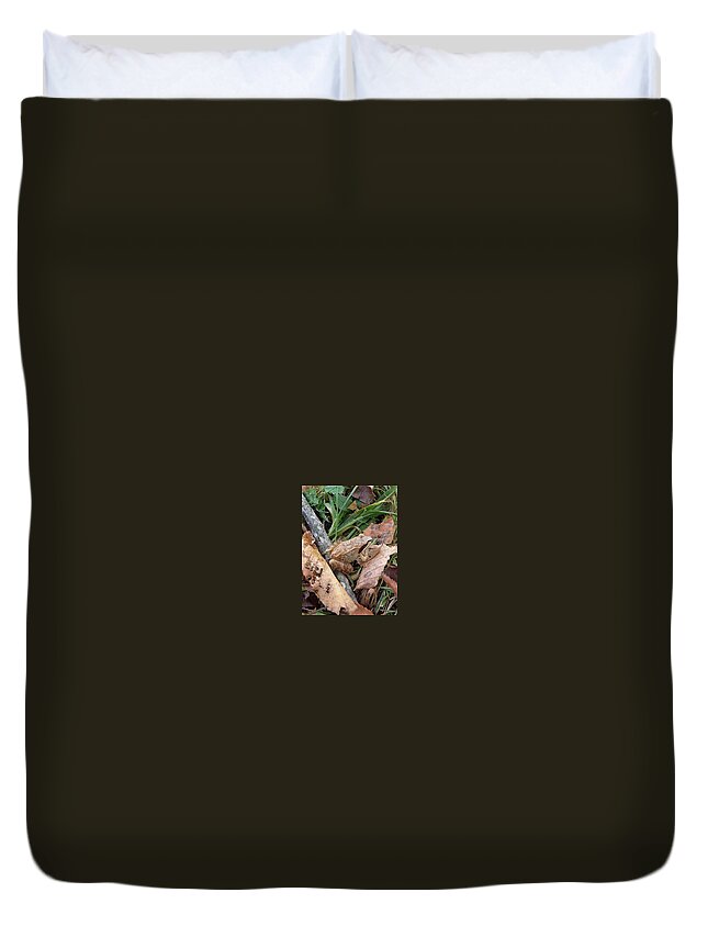Frog Duvet Cover featuring the photograph Can You See Me by Kim Galluzzo