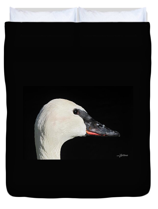 Trumpeter Swan Duvet Cover featuring the photograph Trumpeter Swan by Maciek Froncisz