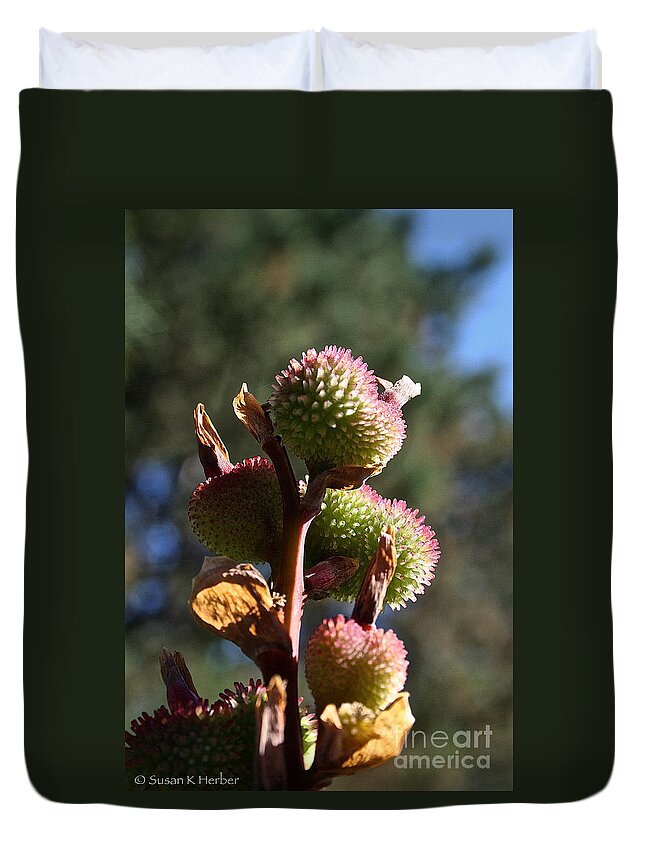 Flower Duvet Cover featuring the photograph Canna Lily Pods by Susan Herber