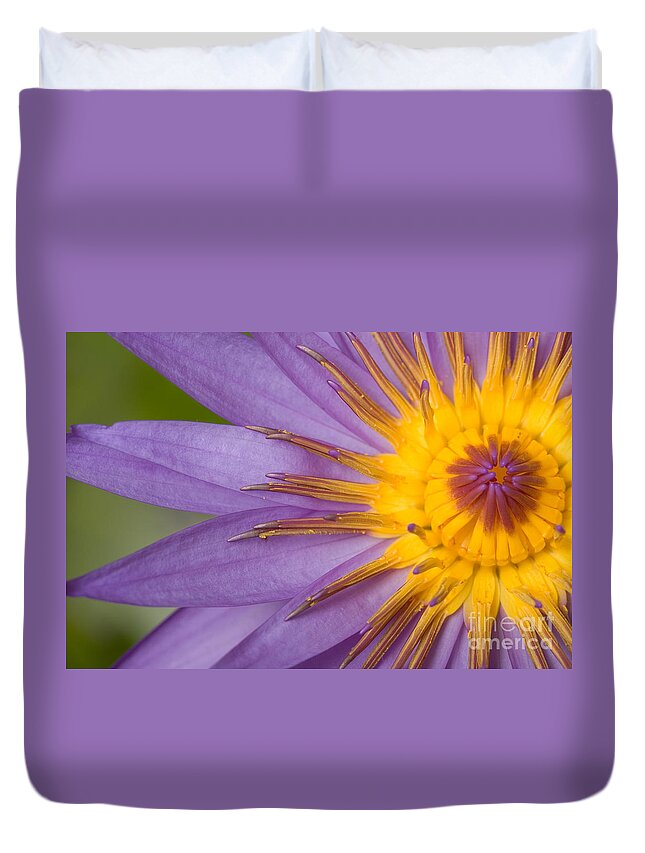 Flora Duvet Cover featuring the photograph Cape Blue Waterlily Nymphaea Capensis by Ted Kinsman