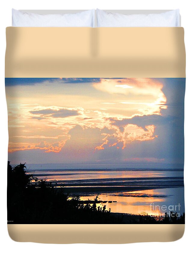 Beach Duvet Cover featuring the photograph Cape Cod Beach Brewster by Lizi Beard-Ward