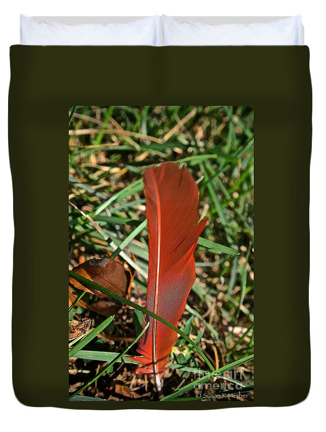 Outdoors Duvet Cover featuring the photograph Cardinal Feather by Susan Herber