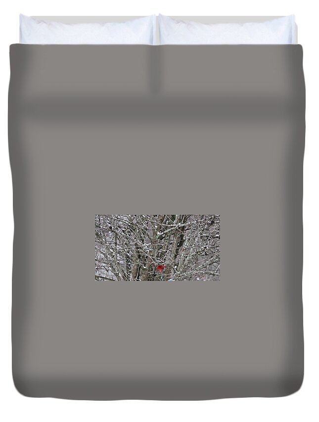 Cardinal Duvet Cover featuring the photograph Cardinal by Kume Bryant