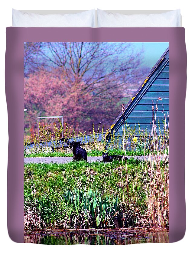 Cats Duvet Cover featuring the mixed media Cats at the canal by Rogerio Mariani