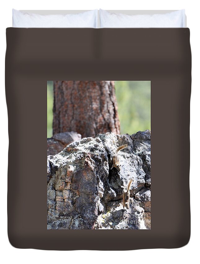 Chipmunk Duvet Cover featuring the photograph Chip n' Dale by Dorrene BrownButterfield