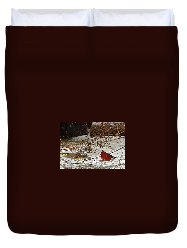 Northern Cardinal Duvet Cover featuring the photograph Christmas CardinalThe by Ed Peterson