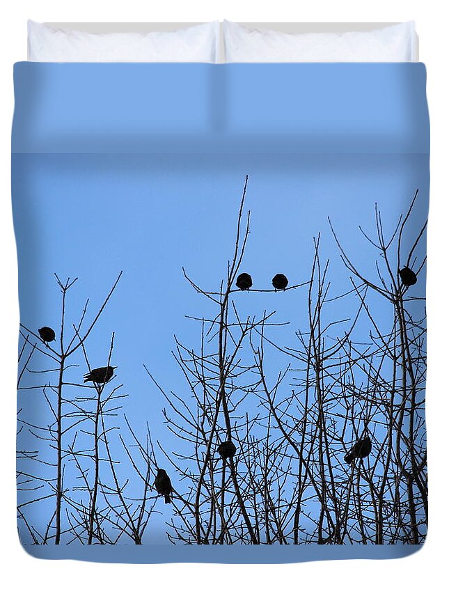 Birds Duvet Cover featuring the photograph Hanging with Friends by Kume Bryant