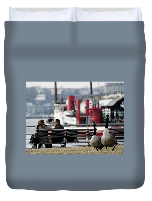 Canadian Geese Duvet Cover featuring the photograph City Geese by S Paul Sahm