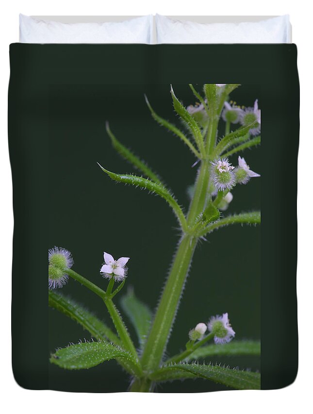Cleavers Duvet Cover featuring the photograph Cleavers by Daniel Reed