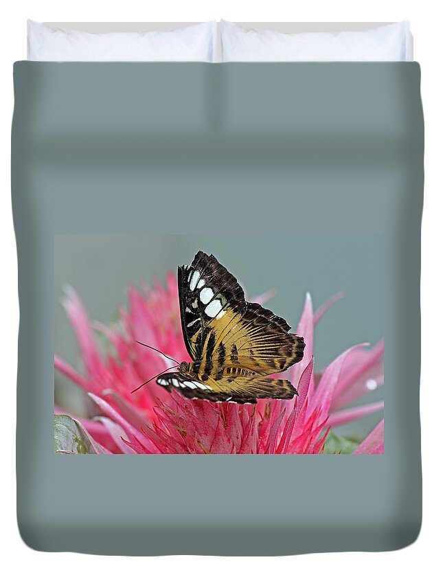 Butterfly Duvet Cover featuring the photograph Clipper Butterfly by Tony Murtagh