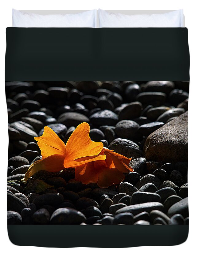 Clockvine Duvet Cover featuring the photograph Clockvine Blossom 05/10/12 by Joe Schofield