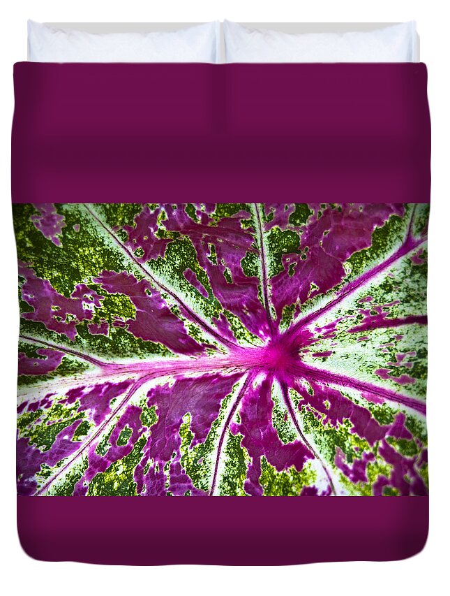 Coleus Duvet Cover featuring the photograph Coleus Leaf by Carolyn Marshall