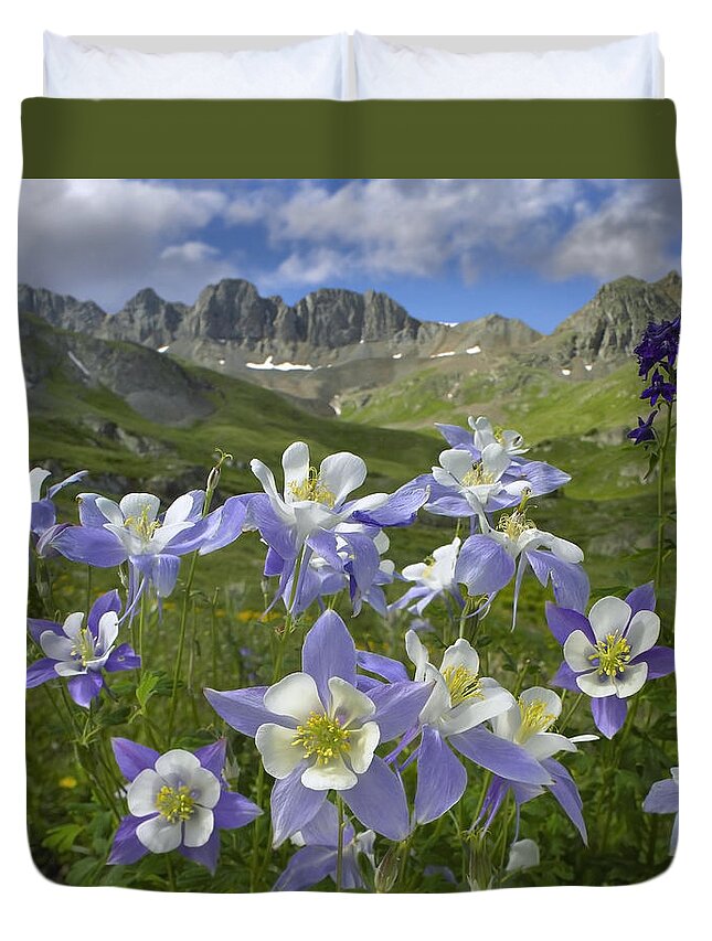00176789 Duvet Cover featuring the photograph Colorado Blue Columbine Meadow by Tim Fitzharris