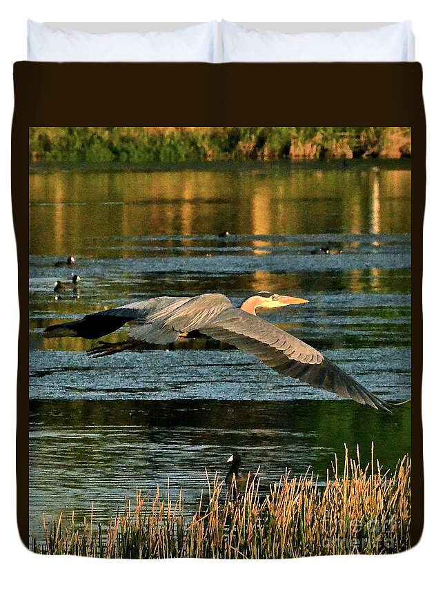 Heron Duvet Cover featuring the photograph Colorful Evening Flight by Carol Bradley