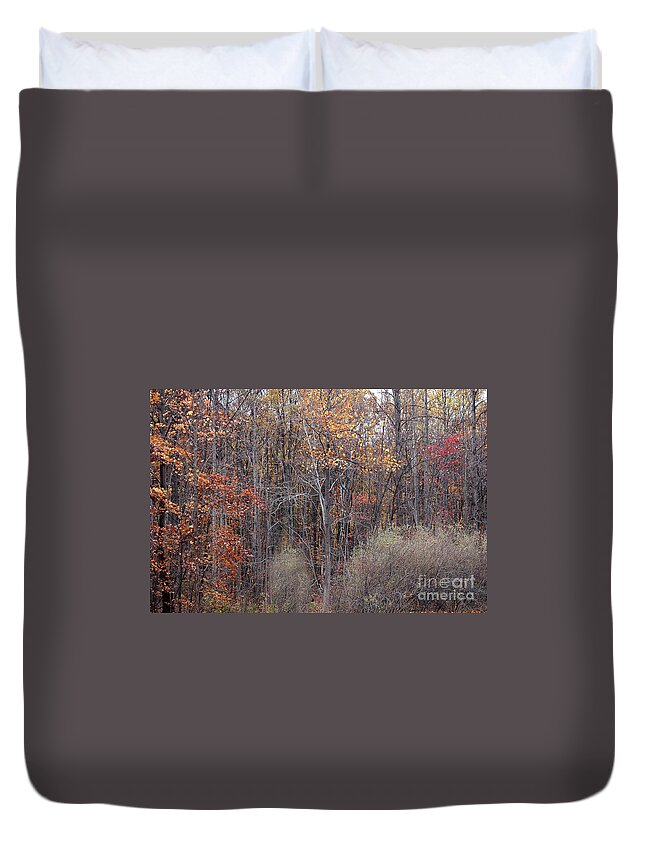 Fall Colors Similar Beautiful Matching Autumn Duvet Cover featuring the photograph Colors Galore by Vilas Malankar