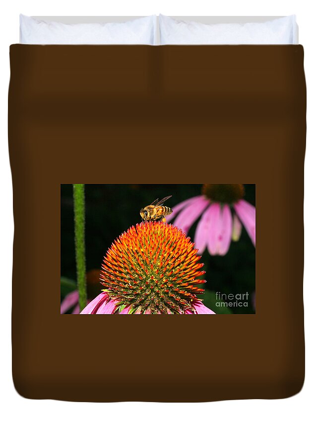 Coneflower Duvet Cover featuring the photograph Coneflower Bee by Daniel Knighton