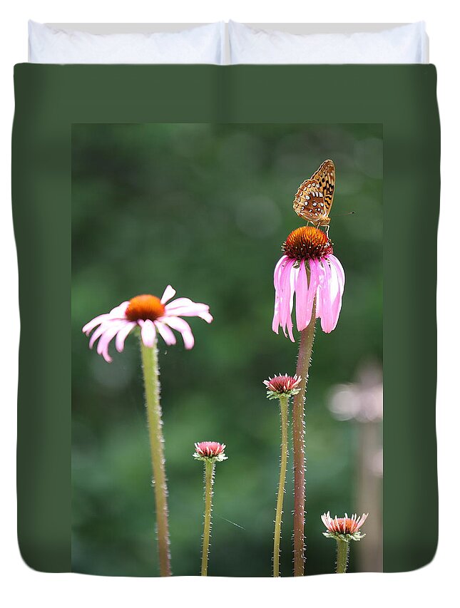 Butterfly Duvet Cover featuring the photograph Coneflowers And Butterfly by Daniel Reed