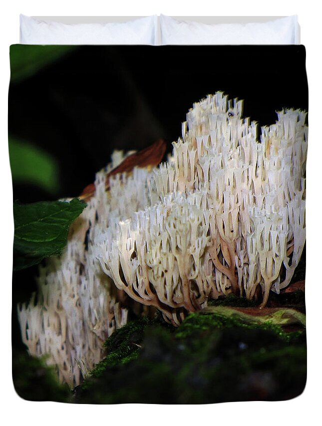 Mushroom Duvet Cover featuring the photograph Coral Mushroom 2 by September Stone
