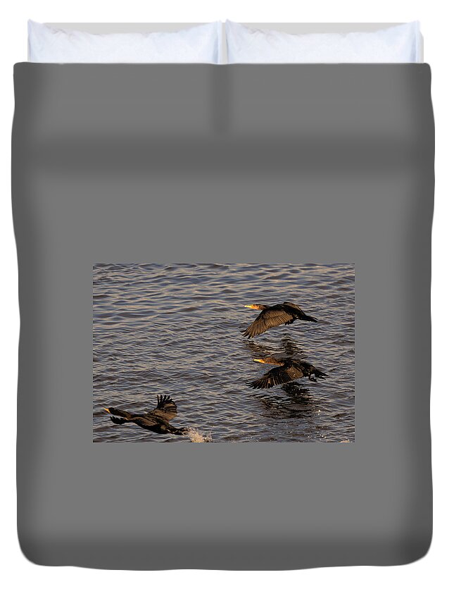 Cormorants Duvet Cover featuring the photograph Cormorants in Flight 2 by Lawrence Christopher