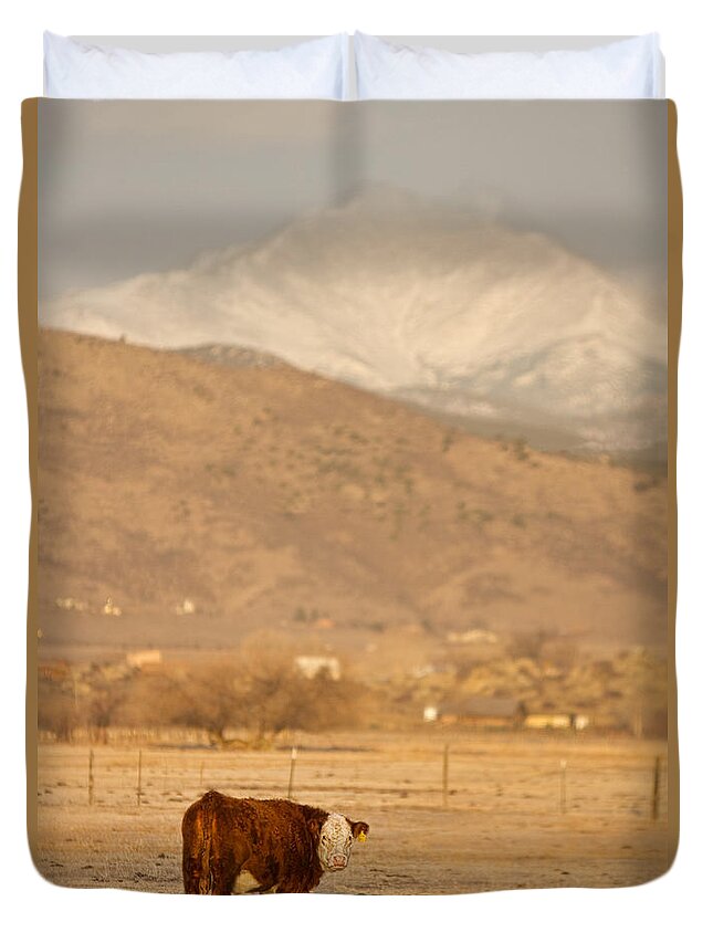 Cow Duvet Cover featuring the photograph Cow and Calf by James BO Insogna