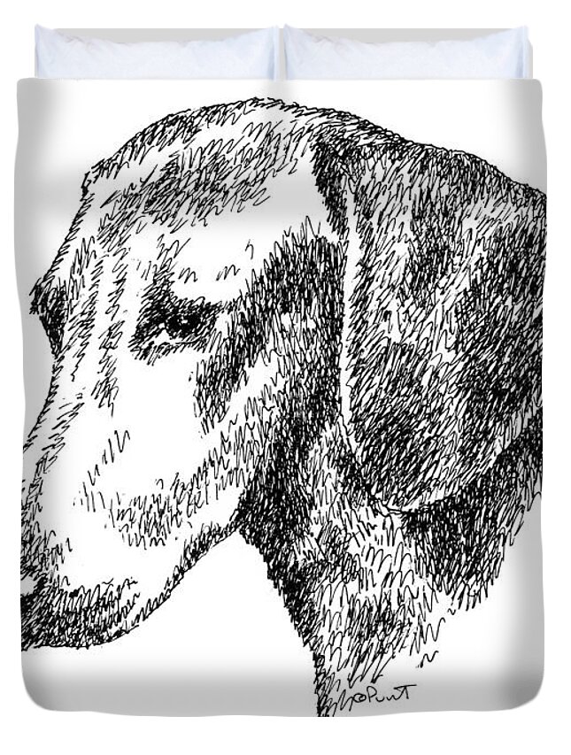 Dachshund Duvet Cover featuring the drawing Dachshund-Drawing by Gordon Punt