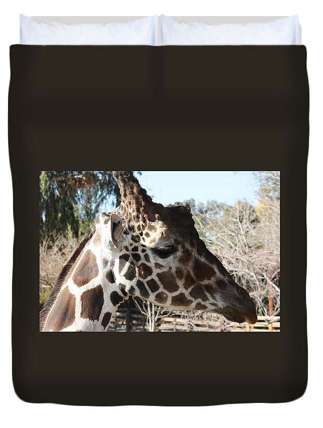 Giraffe Duvet Cover featuring the photograph Daddy Giraffe by Kim Galluzzo