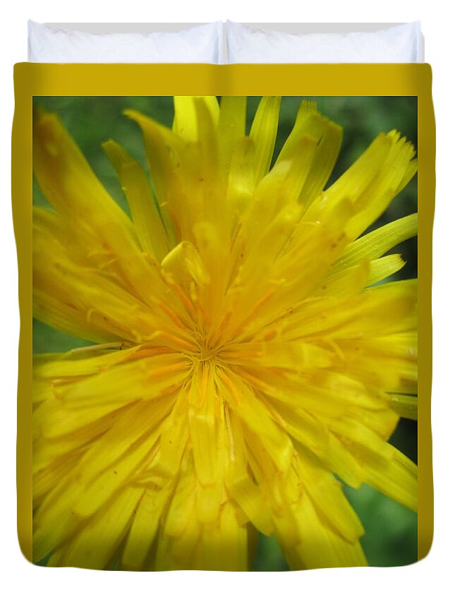 Dandelion Duvet Cover featuring the photograph Dandelion Close Up by Kym Backland