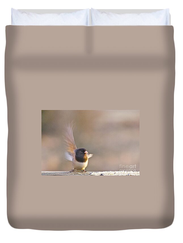 Photography Duvet Cover featuring the photograph Dark-eyed Junco Taking Flight by Sean Griffin