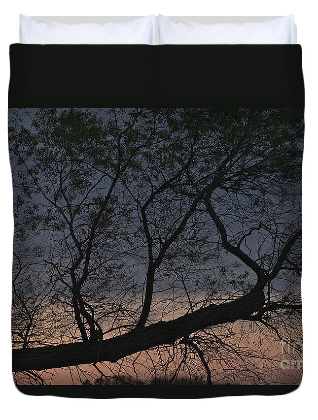 Tree Duvet Cover featuring the photograph Dawn by William Norton
