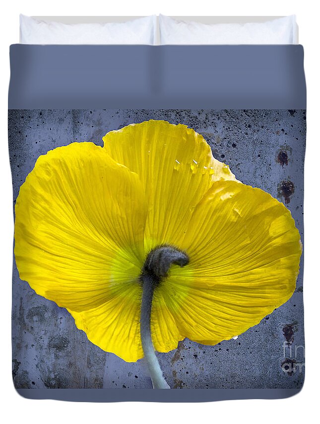 Poppy Duvet Cover featuring the photograph Delicate and Strong by Heiko Koehrer-Wagner