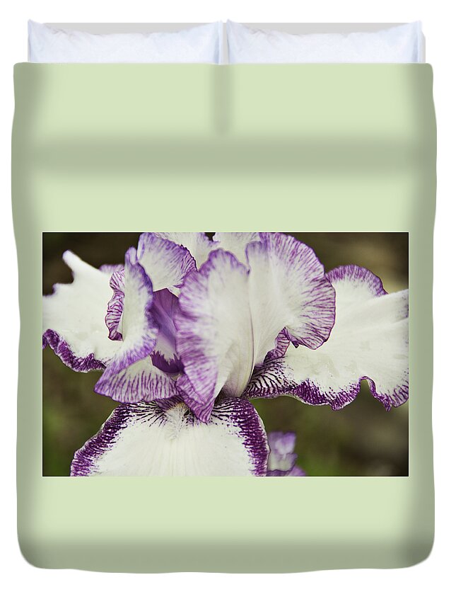 Iris Duvet Cover featuring the photograph Delicate Ruffles 1 by Angelina Tamez
