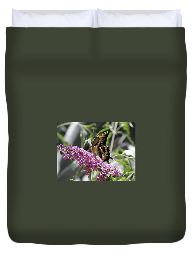 Butterfly Duvet Cover featuring the photograph Delish by Kim Galluzzo