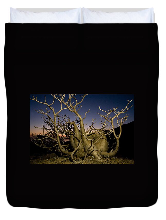 00481455 Duvet Cover featuring the photograph Desert Rose At Sunset Hawf Protected by Sebastian Kennerknecht