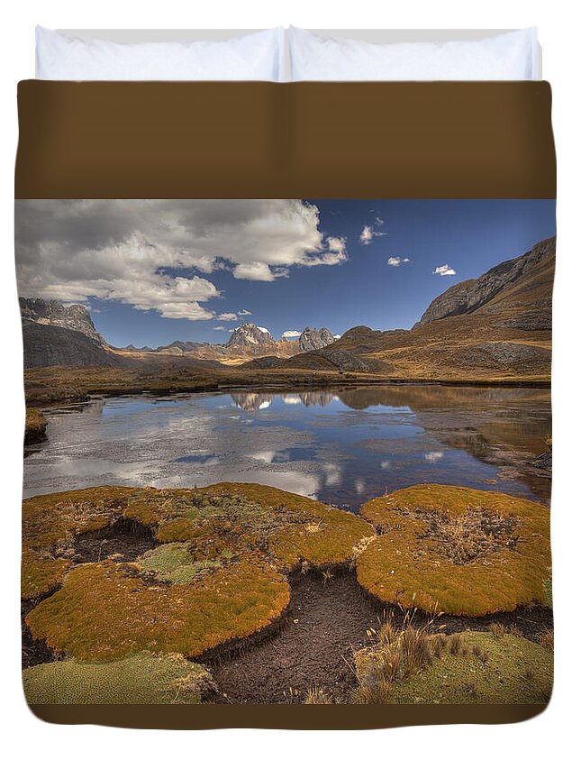 00498209 Duvet Cover featuring the photograph Distichia Cushion Plant And Plantain by Colin Monteath