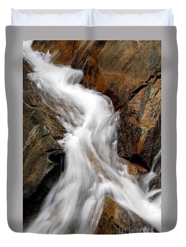 Detail Duvet Cover featuring the photograph Division - D005335 by Daniel Dempster