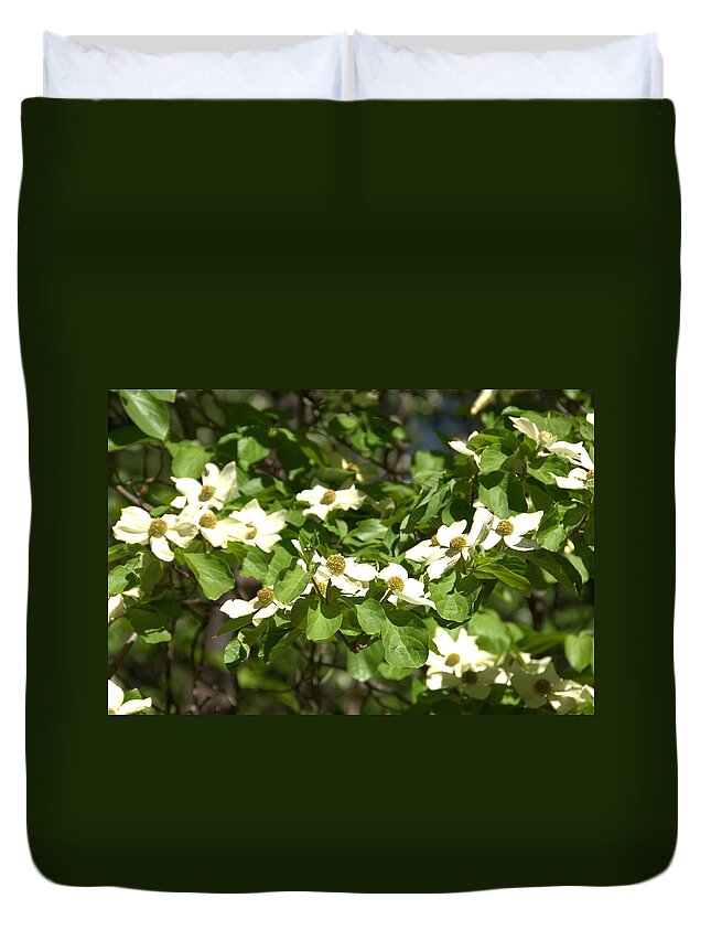 Yosemite Duvet Cover featuring the photograph Dogwoods in Yosemite by Lynn Bauer