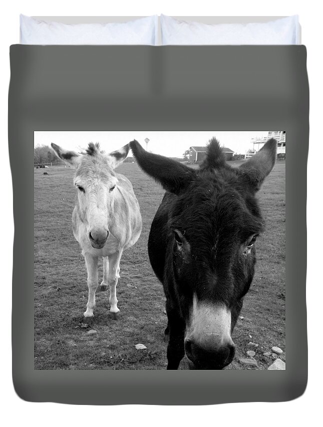 Donkeys Duvet Cover featuring the photograph Donks by Kim Galluzzo Wozniak