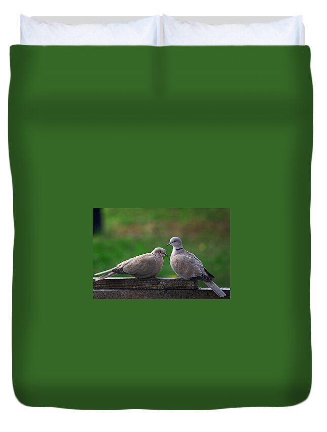 Animal Duvet Cover featuring the photograph Doves by Ivan Slosar