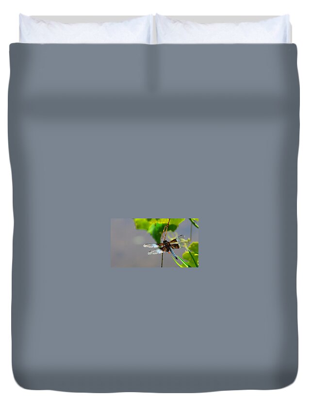 Insects Duvet Cover featuring the photograph Dragonfly by Cindy Manero