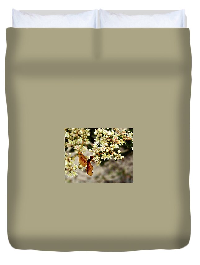 Nature Duvet Cover featuring the photograph Eastern Amberwing on Wild Buckwheat by Peggy Urban
