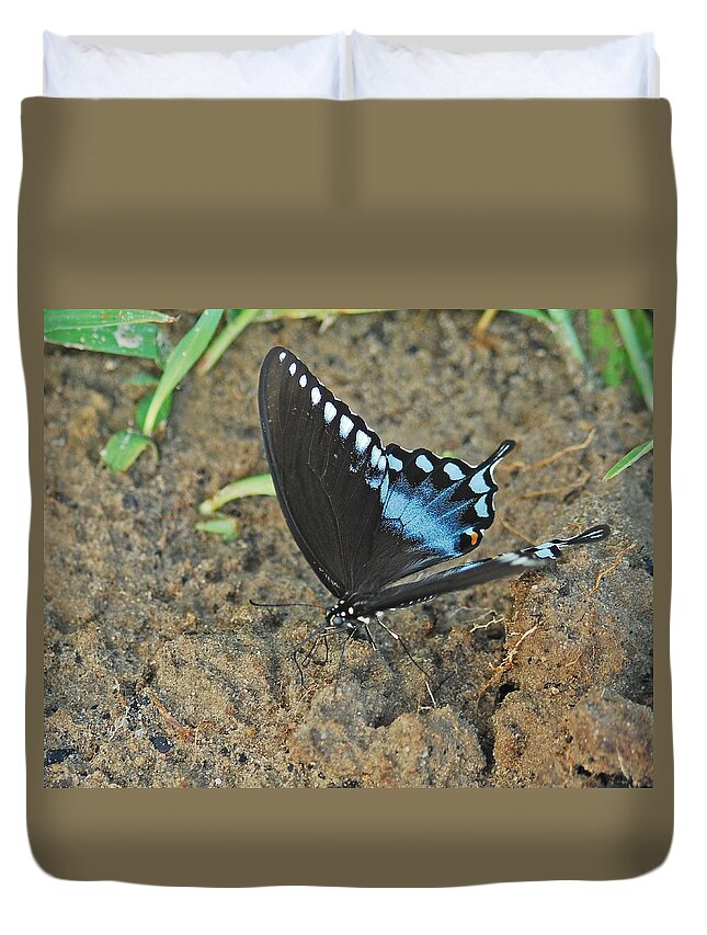 Adult Duvet Cover featuring the photograph Eastern Tiger Swallowtail 8537 3215 by Michael Peychich