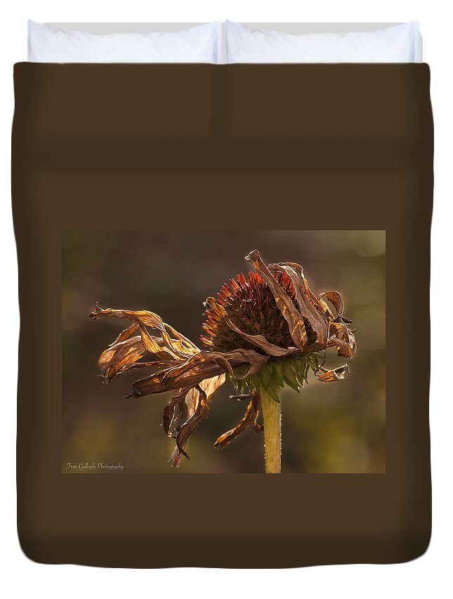 Flower Duvet Cover featuring the photograph End of Summer by Fran Gallogly